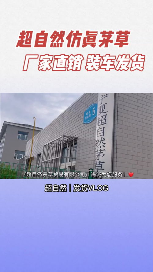 寧夏超自然茅草貿易 綠色環保的仿真茅草行業引領者